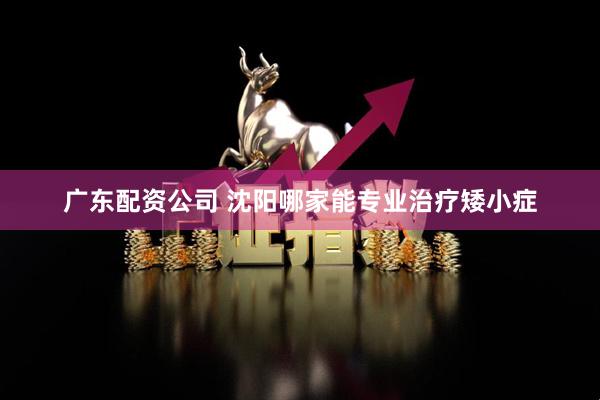 广东配资公司 沈阳哪家能专业治疗矮小症